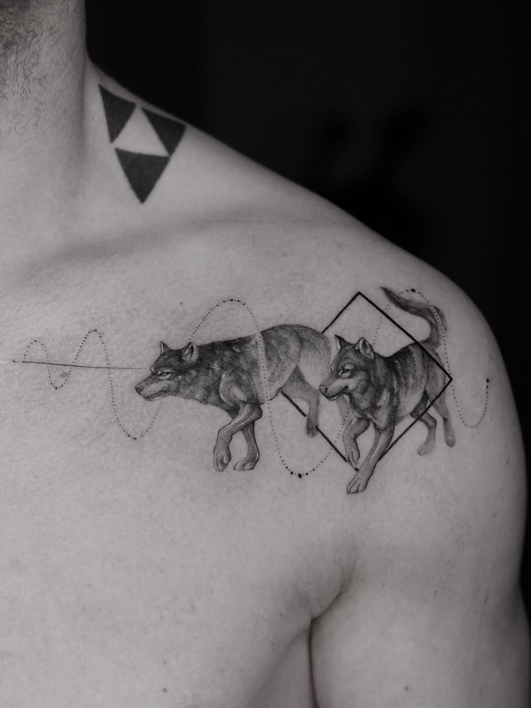 Dynamic dual-wolf montage through geometric diamonds and orbits