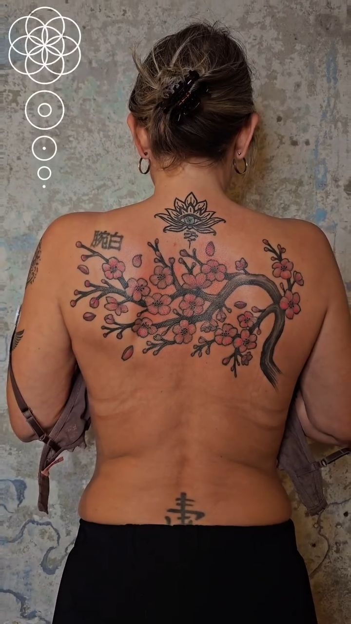 Elegant cherry blossom branch spans back with pink petals