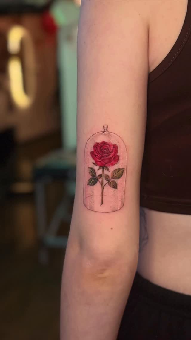 Vibrant rose under glass cloche, delicate botanical vibe