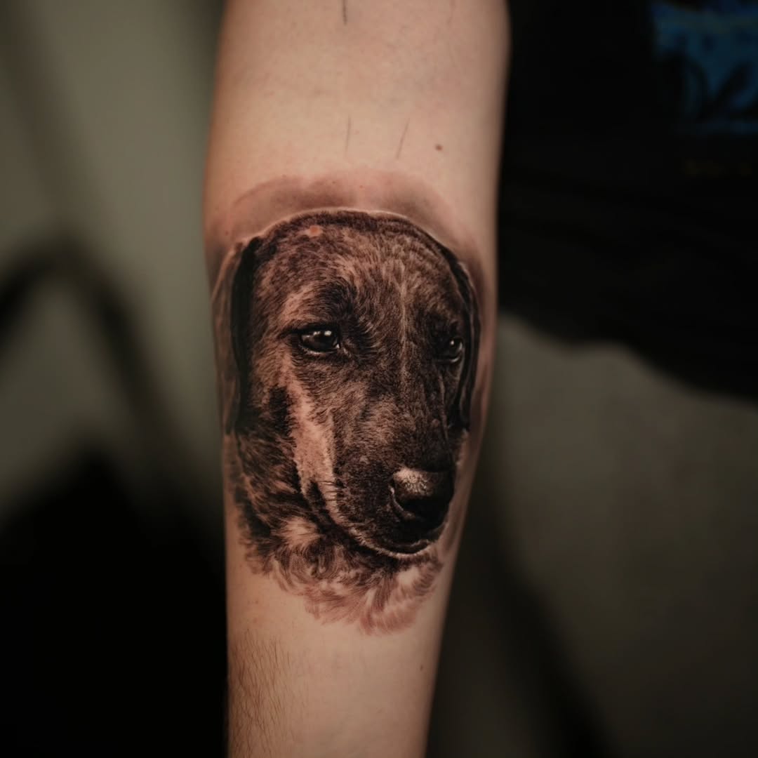 Hyper-detailed black-and-gray dog portrait with soulful eyes