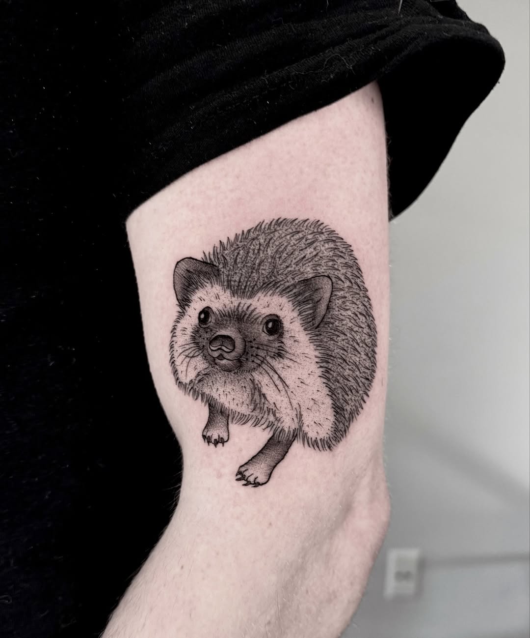 Delicate hedgehog portrait in fine linework, whimsical