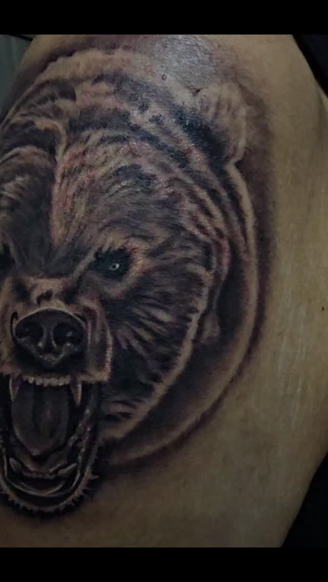 Fierce black-and-gray bear head with snarling maw