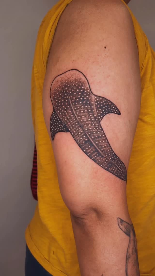 Dotwork manta ray with speckled shading and bold outline