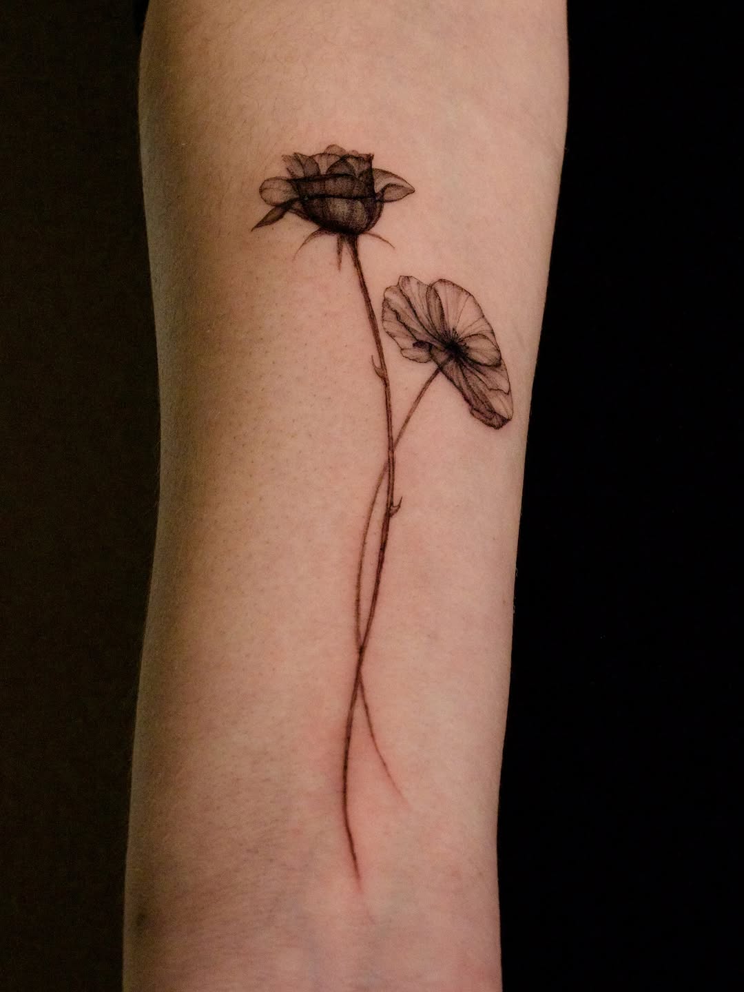 Delicate fine-line botanical forearm tattoo with two flowers