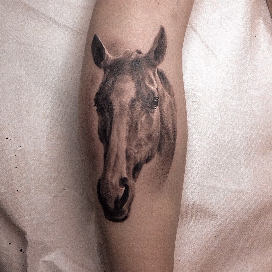 Realistic grayscale horse head portrait with soft shading
