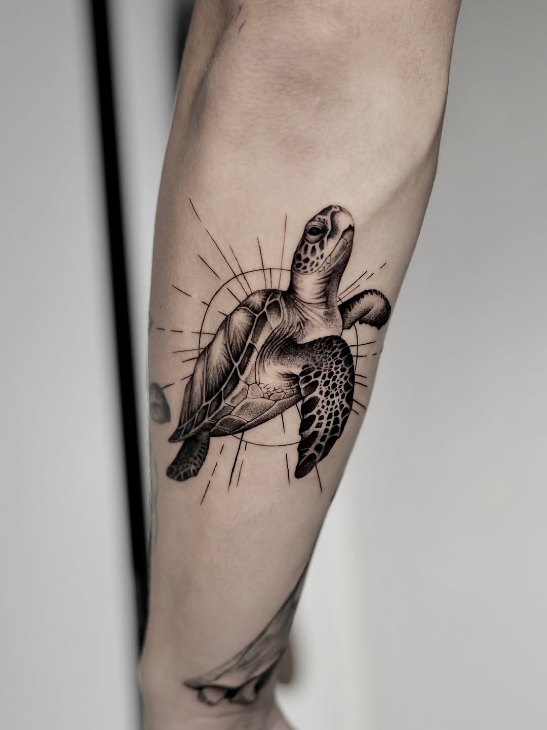 Bold black sea turtle with radiant geometric rays