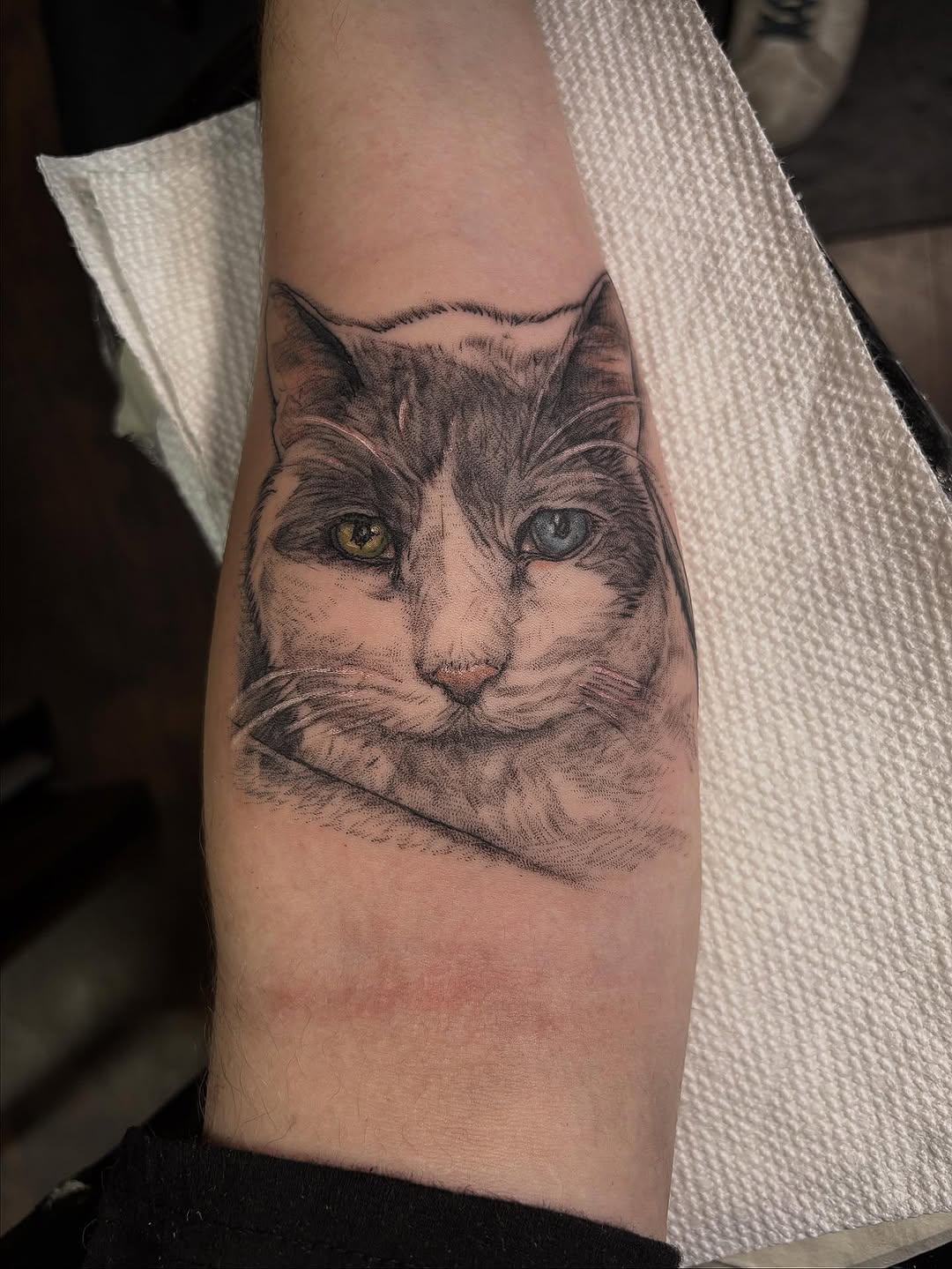 Grayscale cat portrait with detailed fur and lifelike eyes