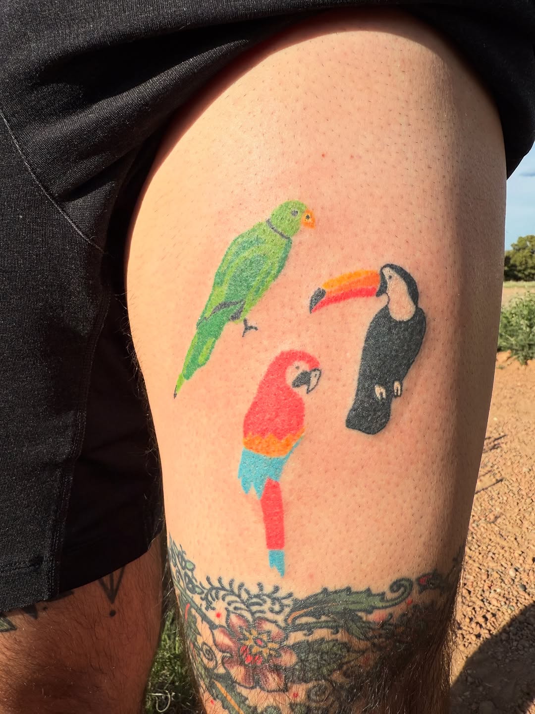 Three colorful birds tattoo