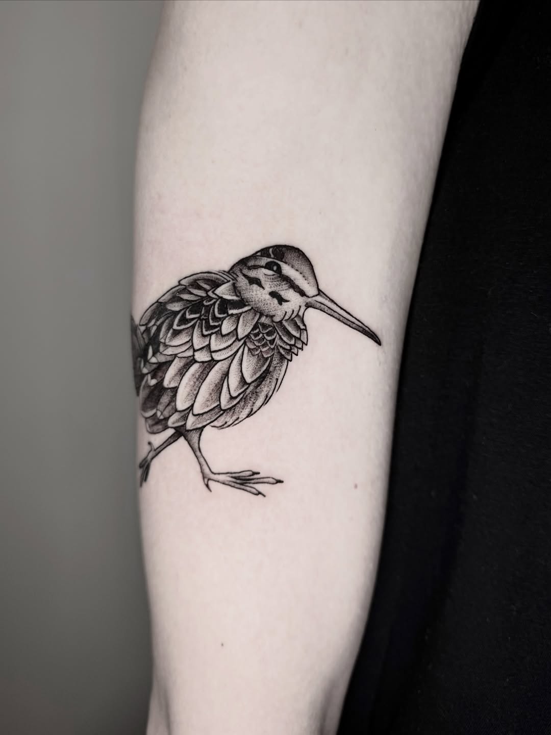 Intricate woodcock tattoo with layered feather detail and dot shading