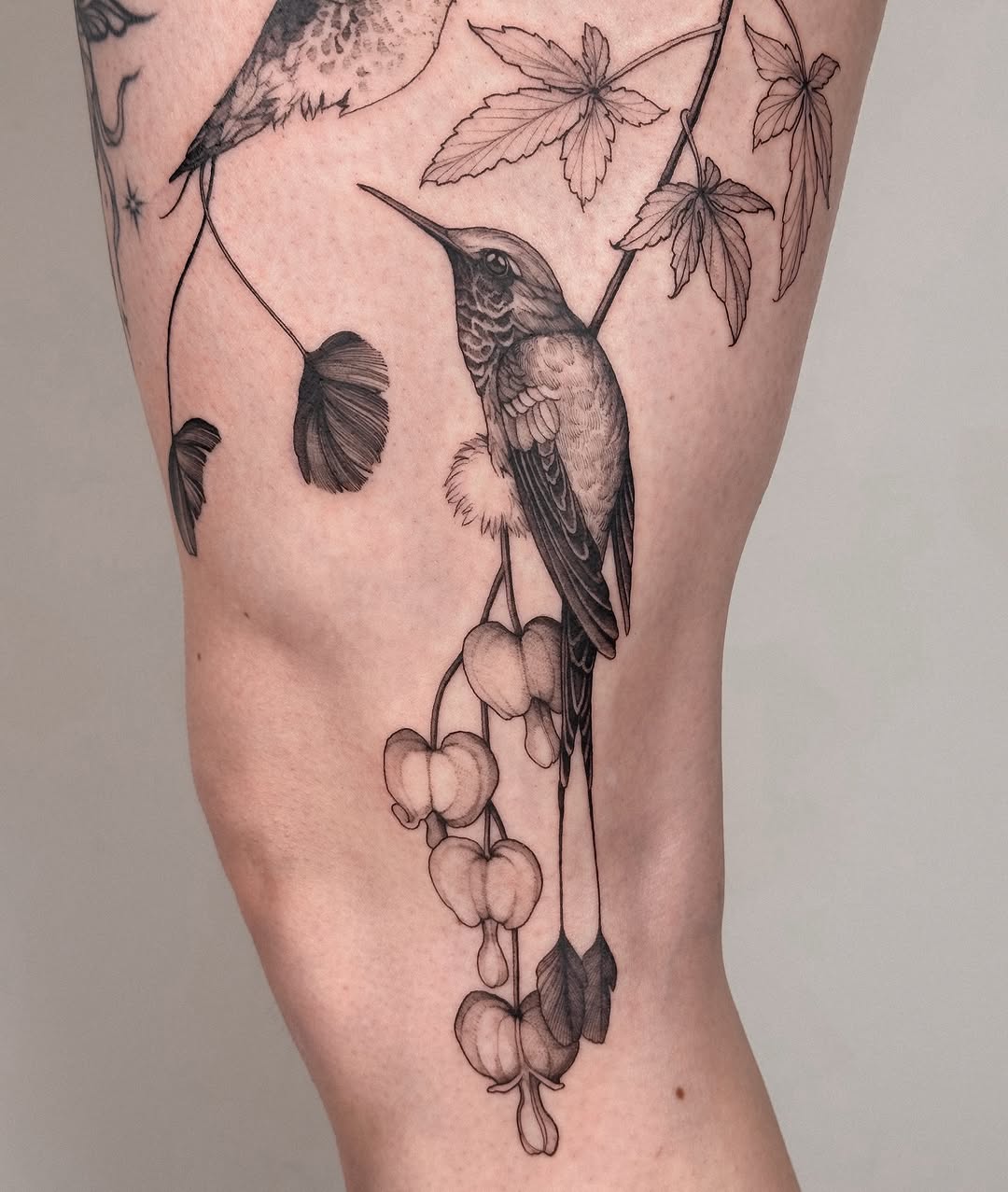 Elegant hummingbird perched among cascading bleeding-heart blooms in fine-line.