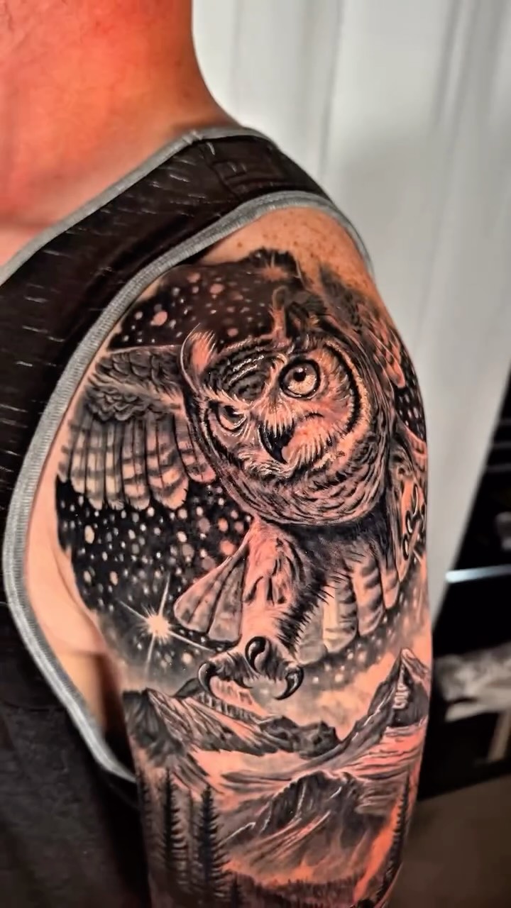 Starry-night owl with rugged mountains, bold sleeve composition.
