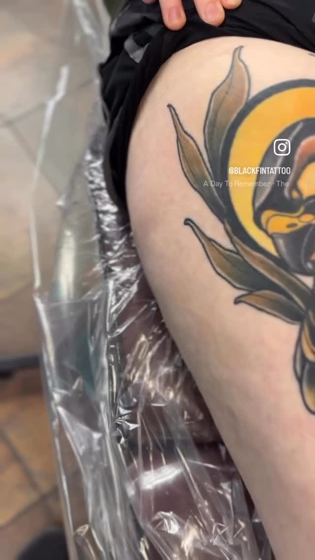 Bold neo-traditional harpy eagle with sunburst and leaves