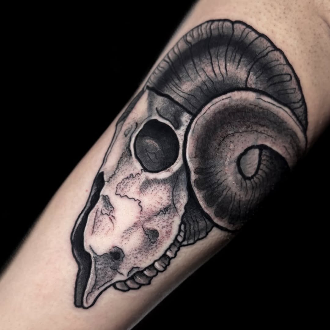 Bold black-and-gray ram skull with curling horn