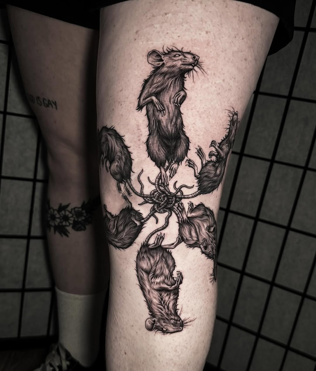 Intricate rat-king composition with entwined tails, bold linework