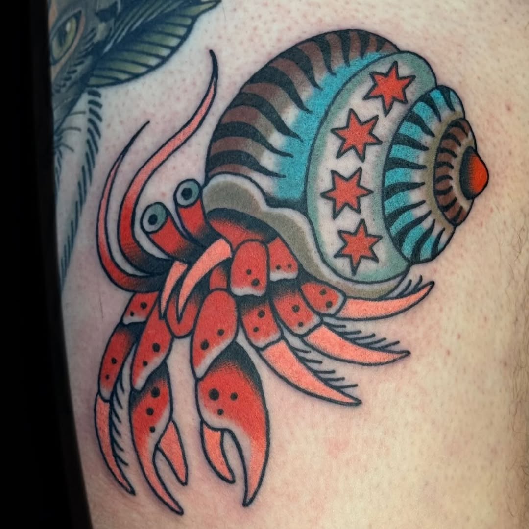 Bold traditional hermit crab with starry, striped shell