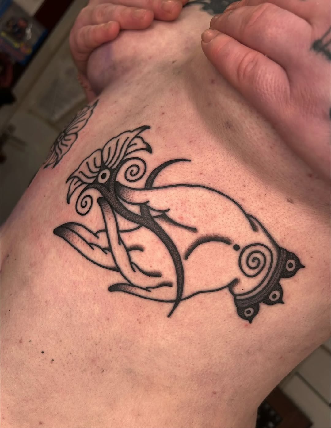 Bold ornamental fish with curling fins and spirals