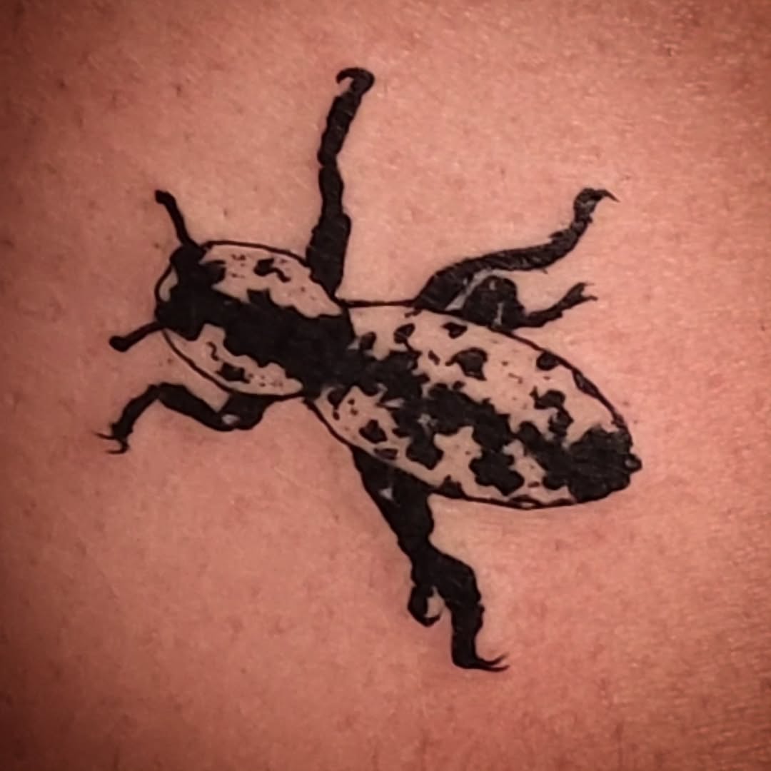 Bold black beetle with spotted elytra, stark contrast