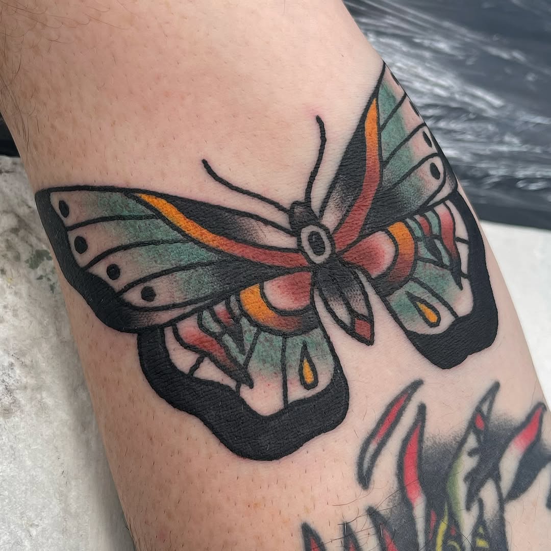 Bold black-outline butterfly with teal wings and orange highlights