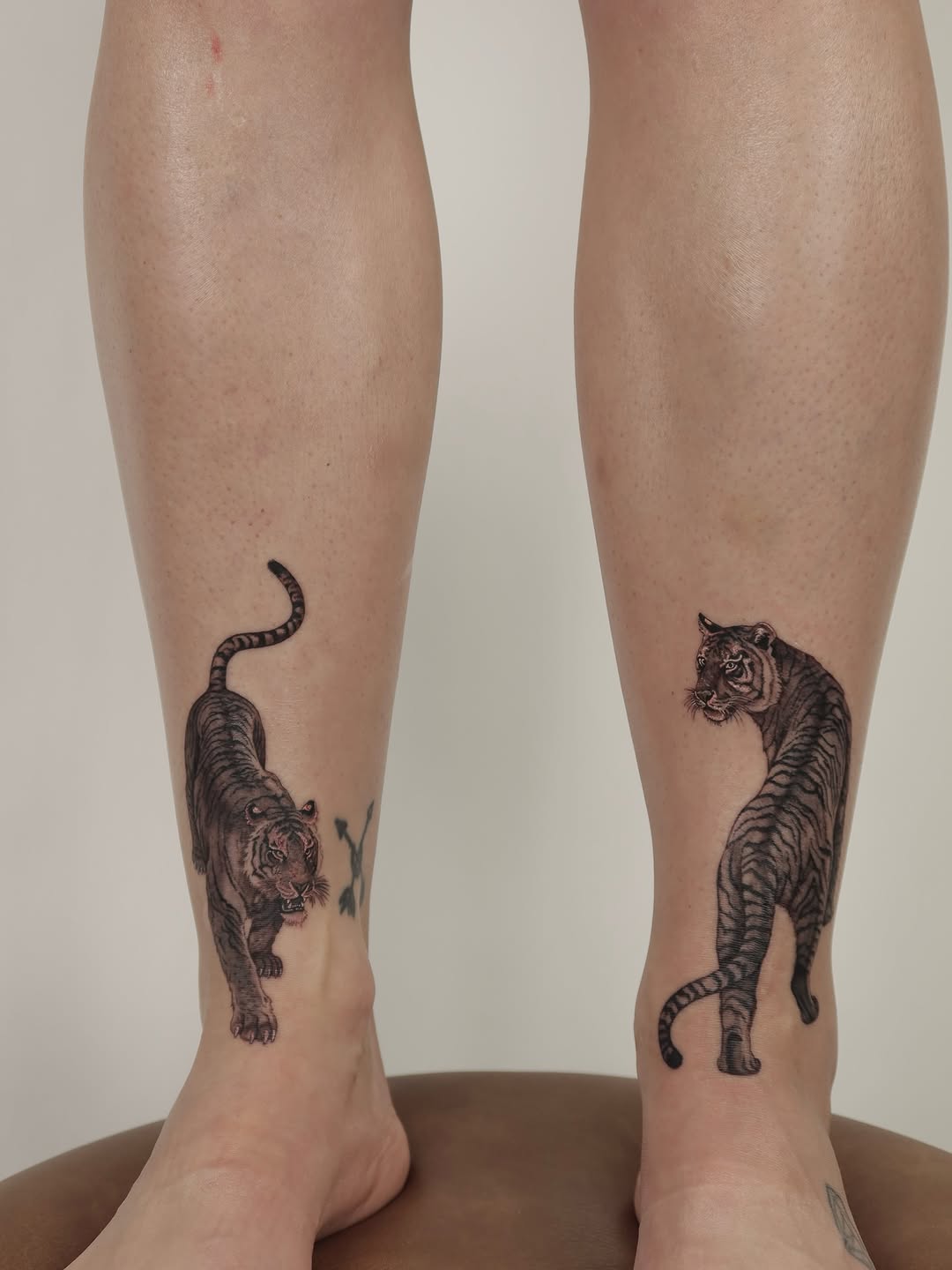 Pair of sleek black tiger tattoos, bold linework