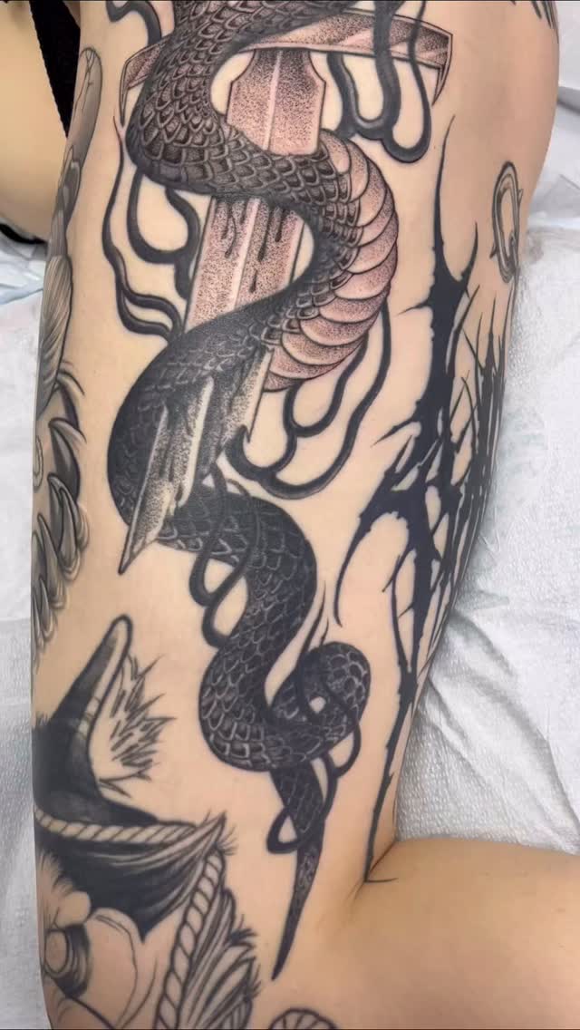 Coiled black snake with bold scalework on leg