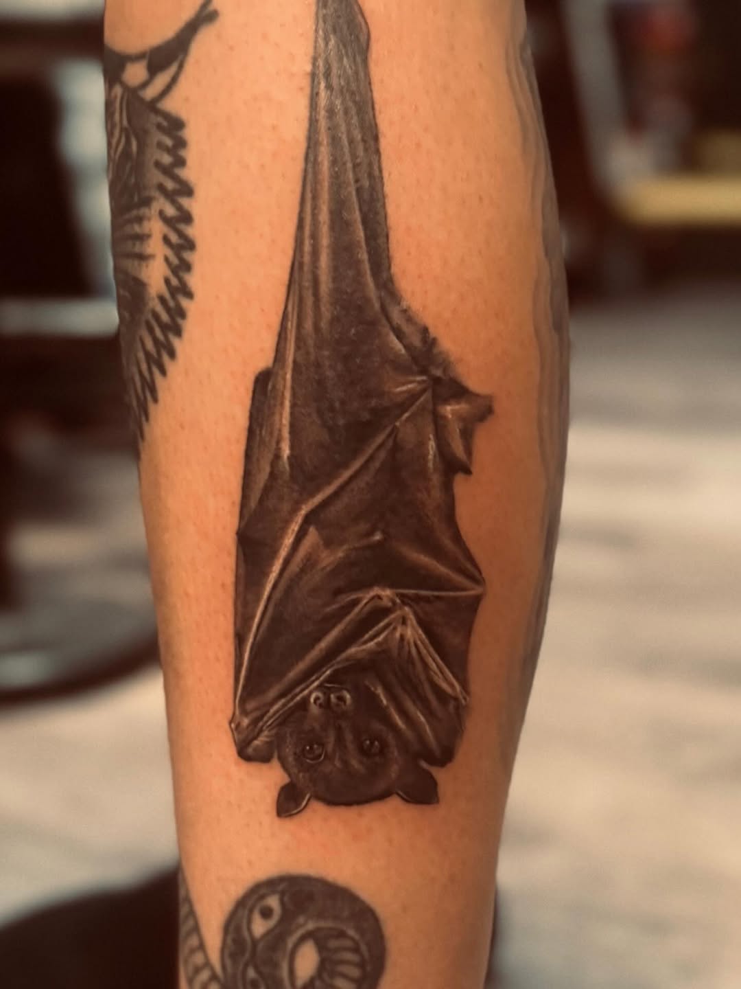 Hyper-detailed grayscale bat hanging upside down on forearm.