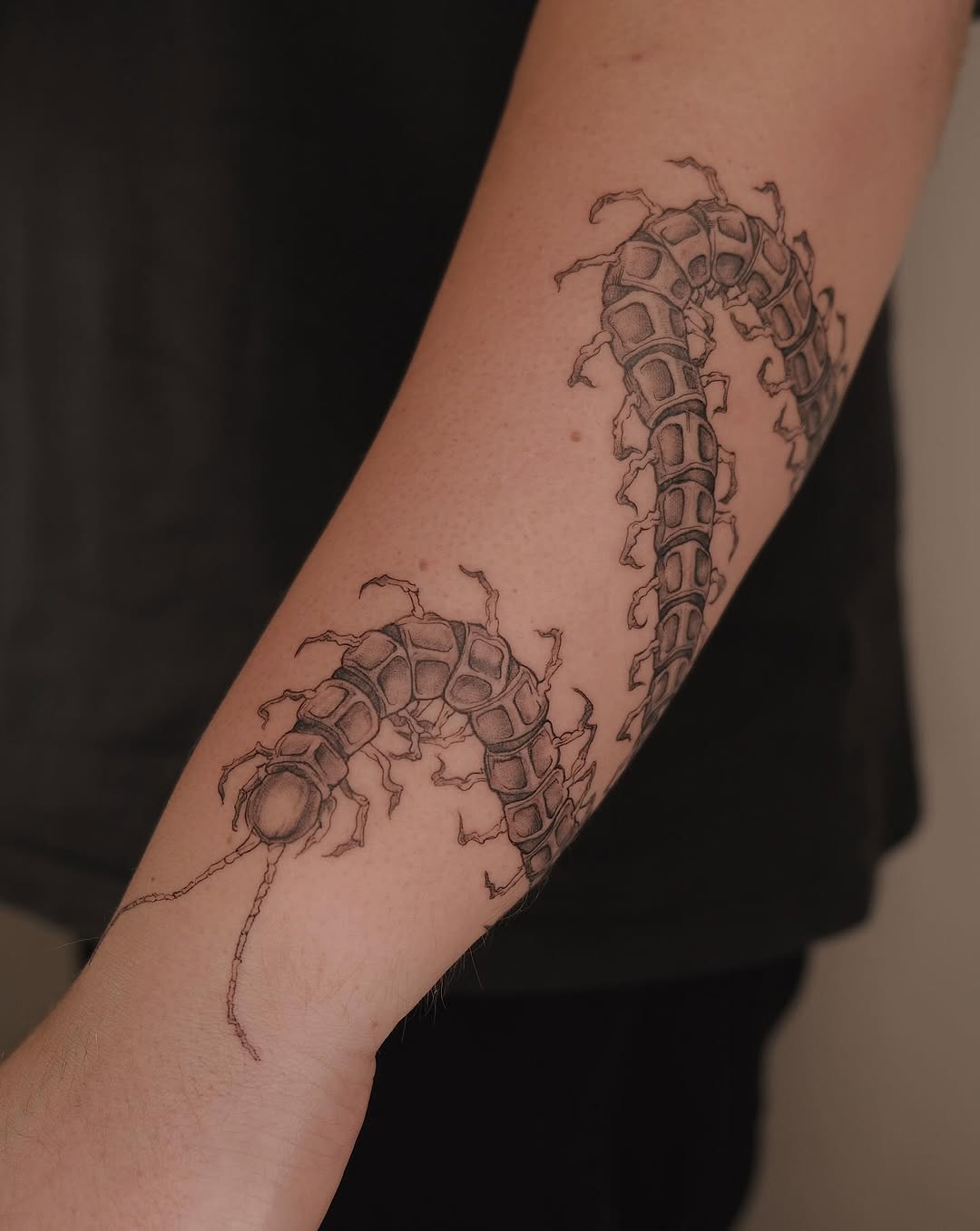 Elaborate blackwork centipede with articulated, segmented plates