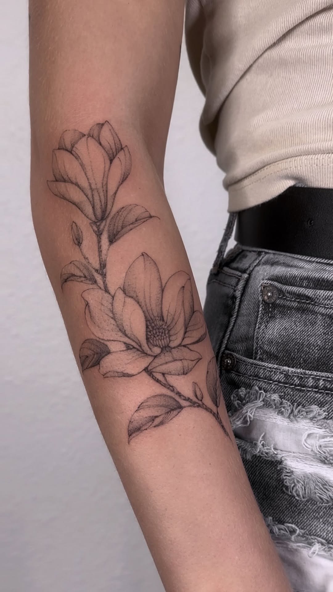 Delicate magnolia branch rendered in fine-line sketch