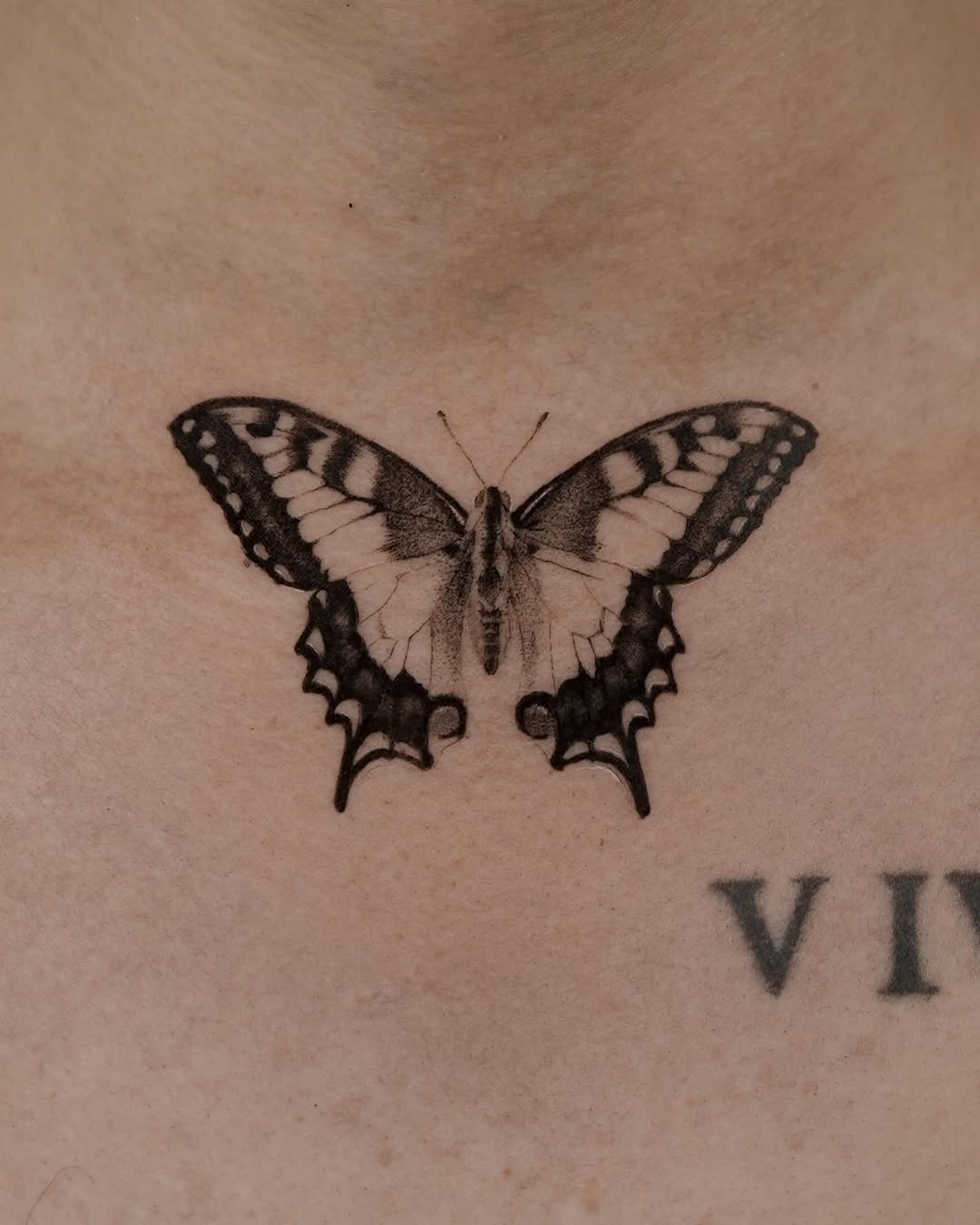 Elegant black butterfly with fine-line, delicate shading.