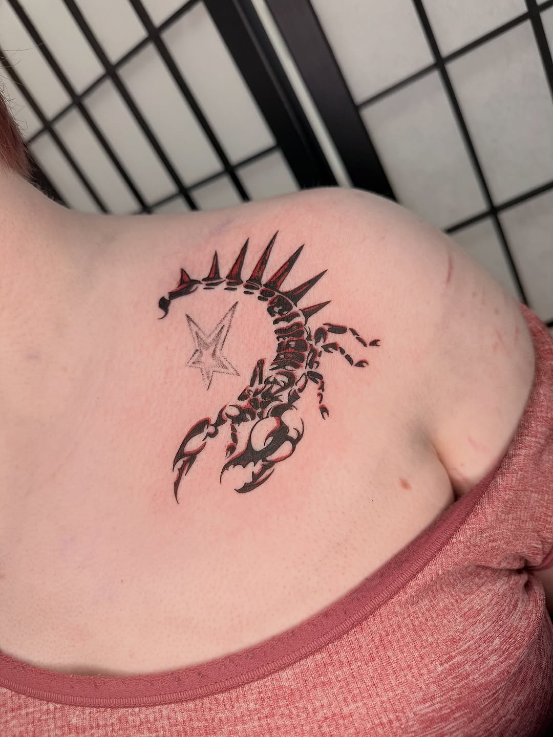 Bold black scorpion with spiked tail and star accent