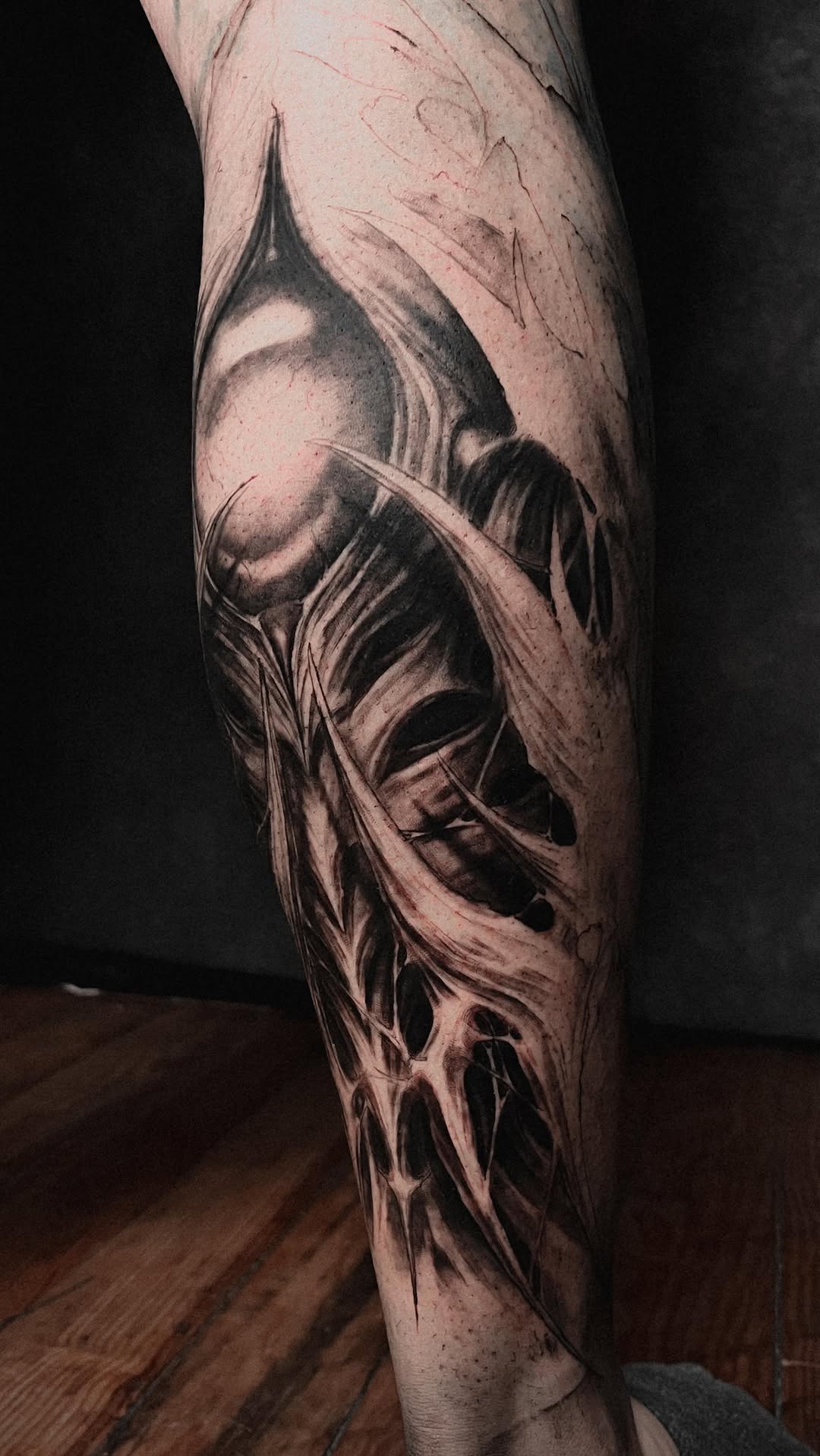 Dark skeletal skull wrapped in ribbon-like strands