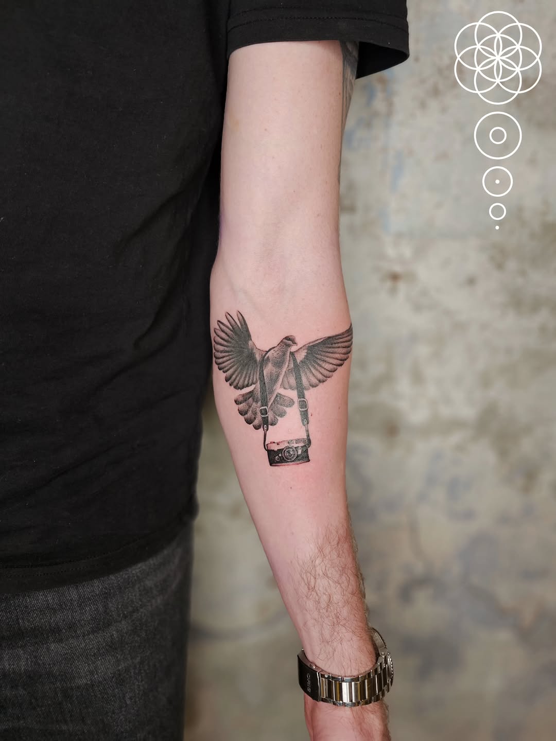 Graceful pigeon with a hanging vintage camera, grayscale