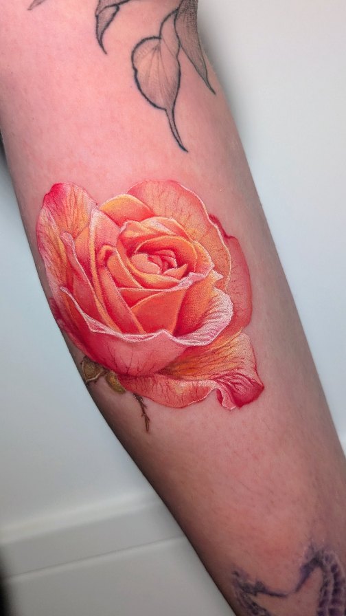 Vivid color-realism rose with peach-pink petals, lifelike shading