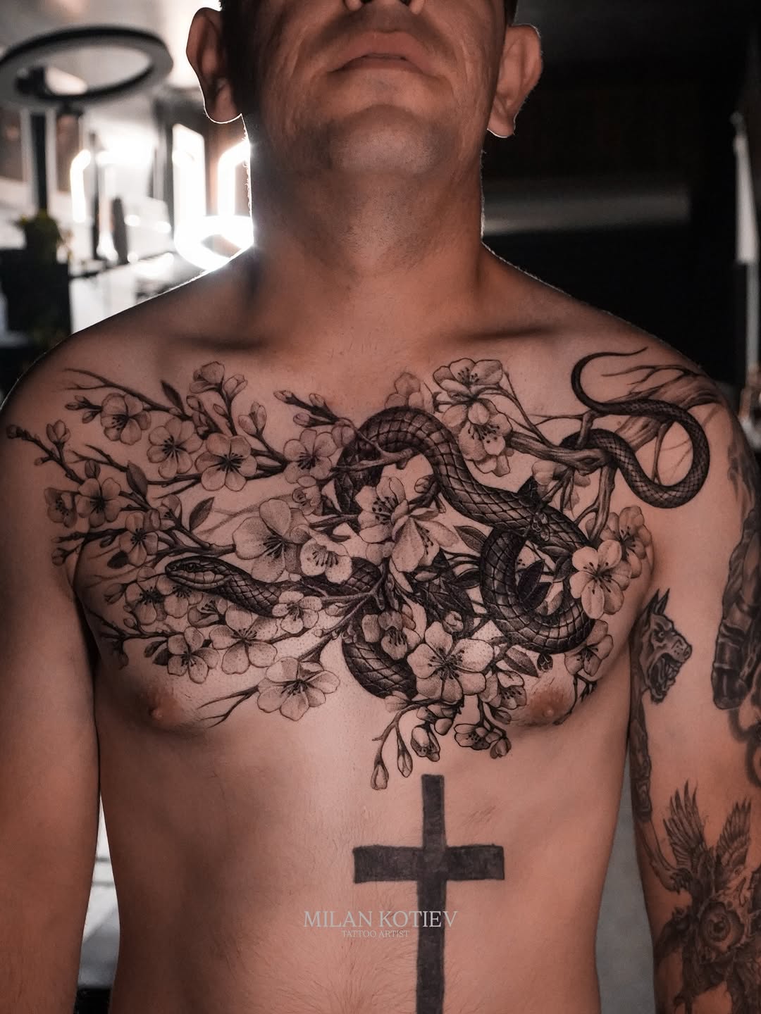 Sinuous black-and-gray snake entwined with cherry blossoms