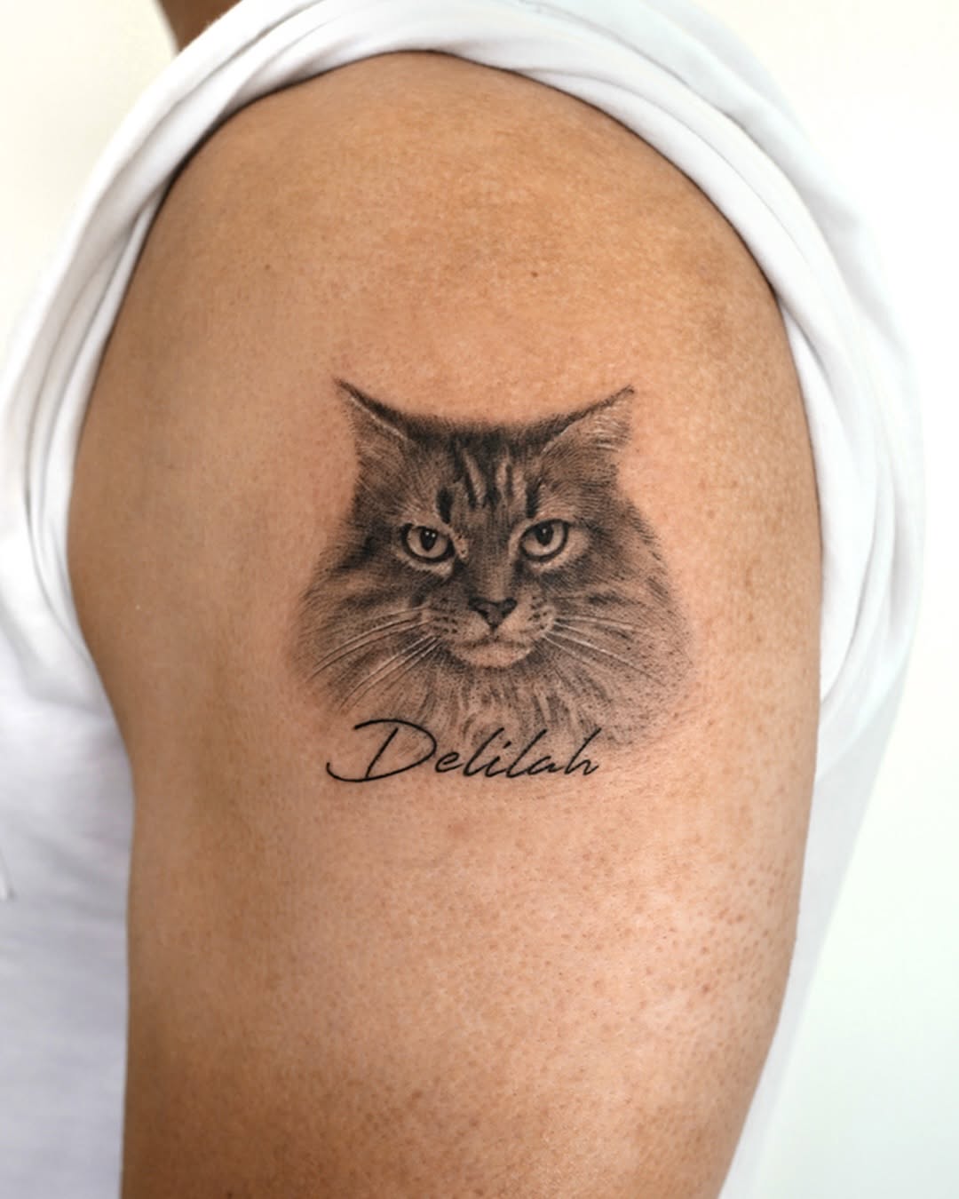 Realistic grayscale cat portrait with delicate whiskers.