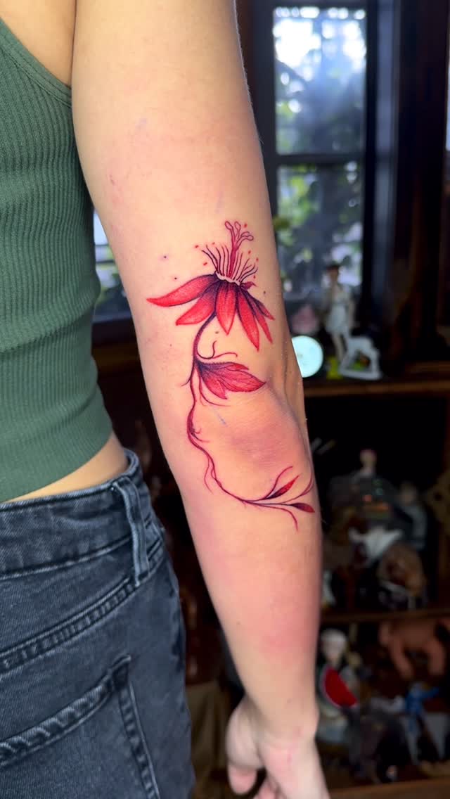 Delicate red passiflora flower with slender vines