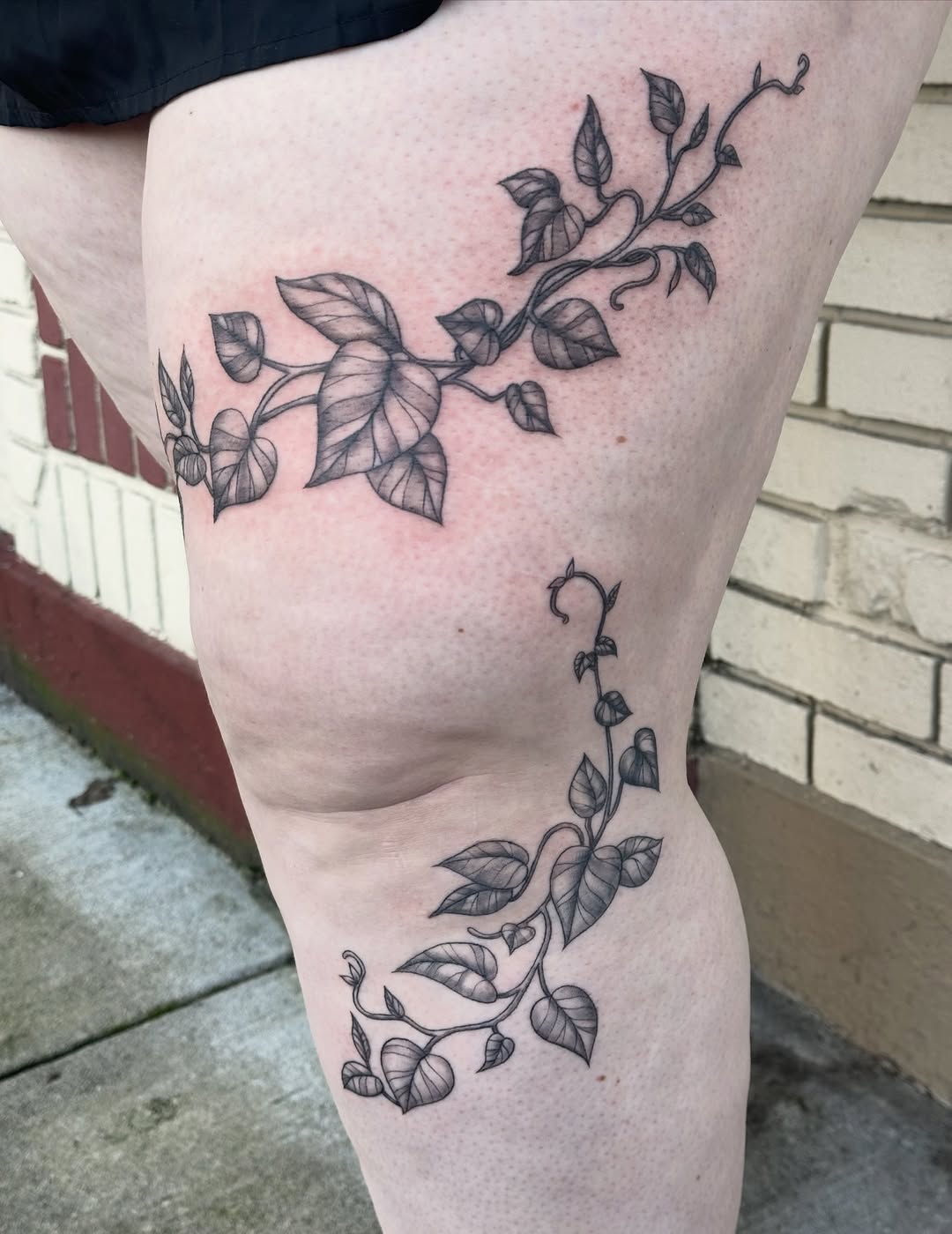 Delicate blackwork ivy vine wrapping leg with leaves