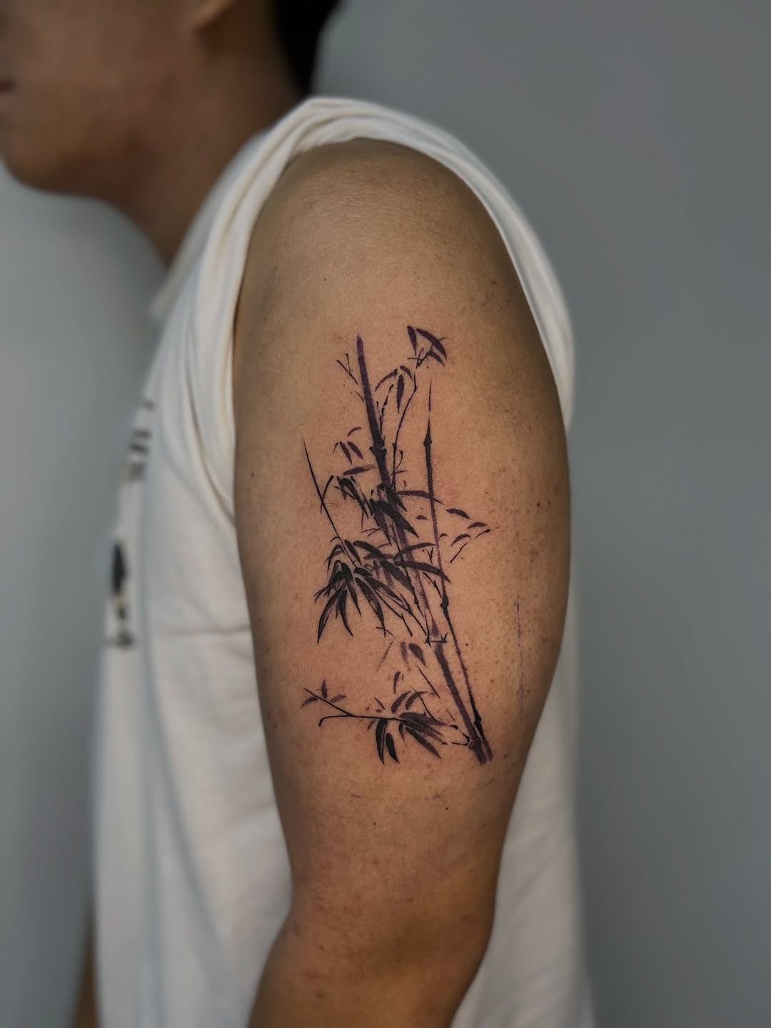 Elegant bamboo stalks in sumi-e inspired brushwork