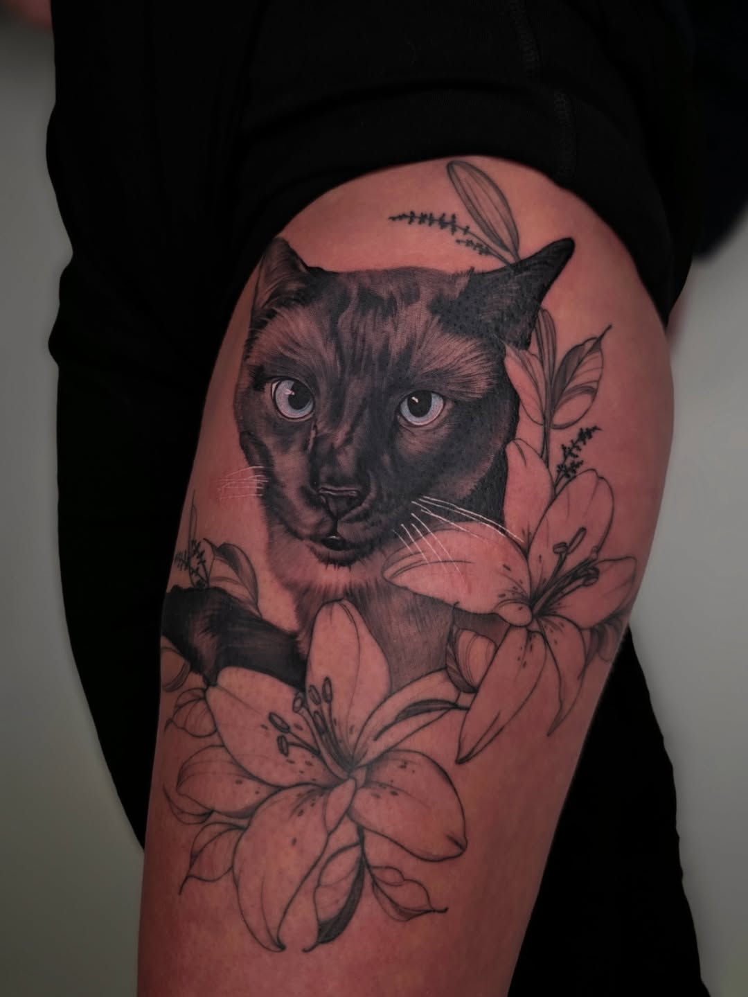Realistic Siamese cat portrait with floral accents.