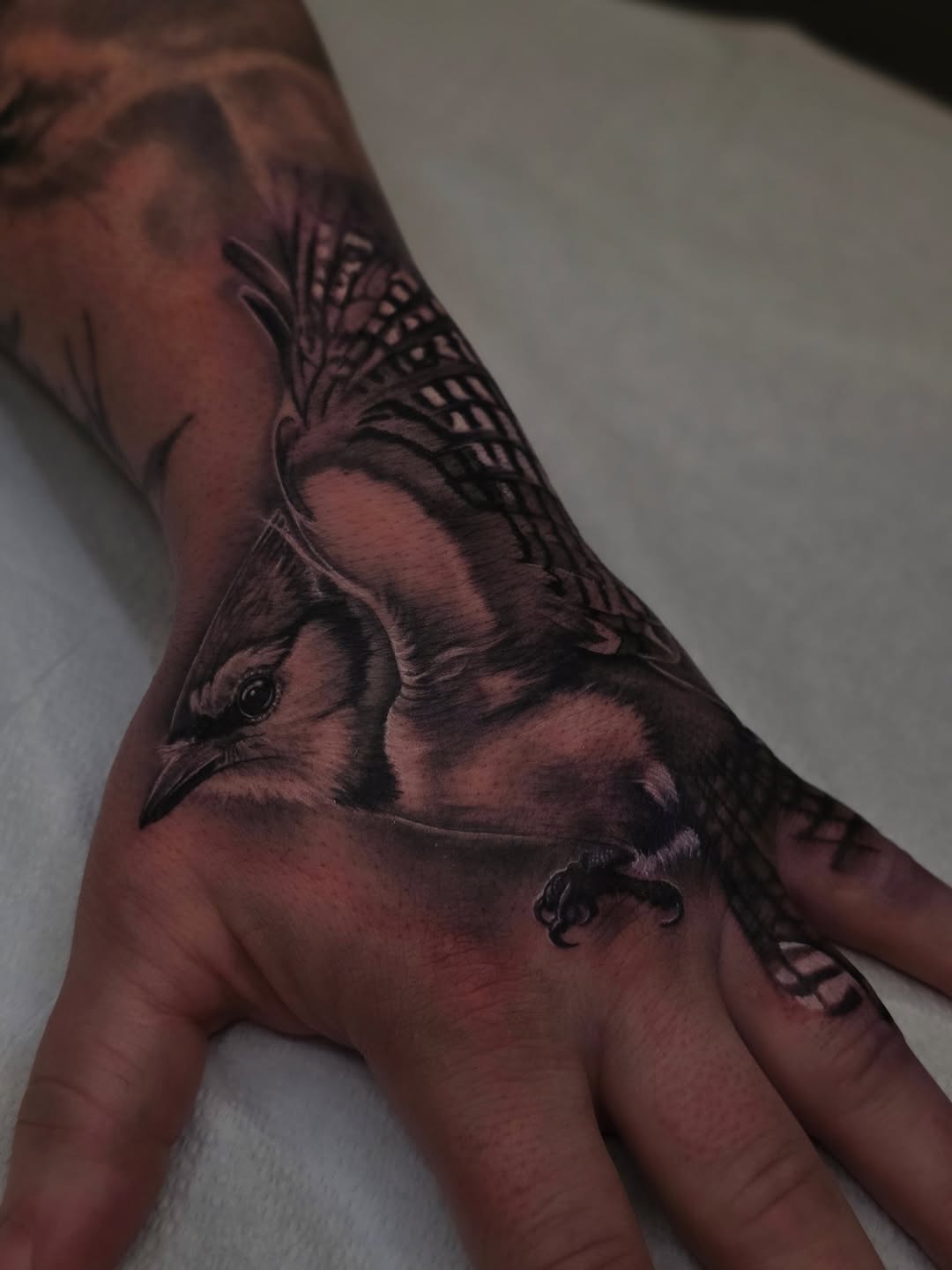 Hyper-detailed black-and-gray bird across the hand.