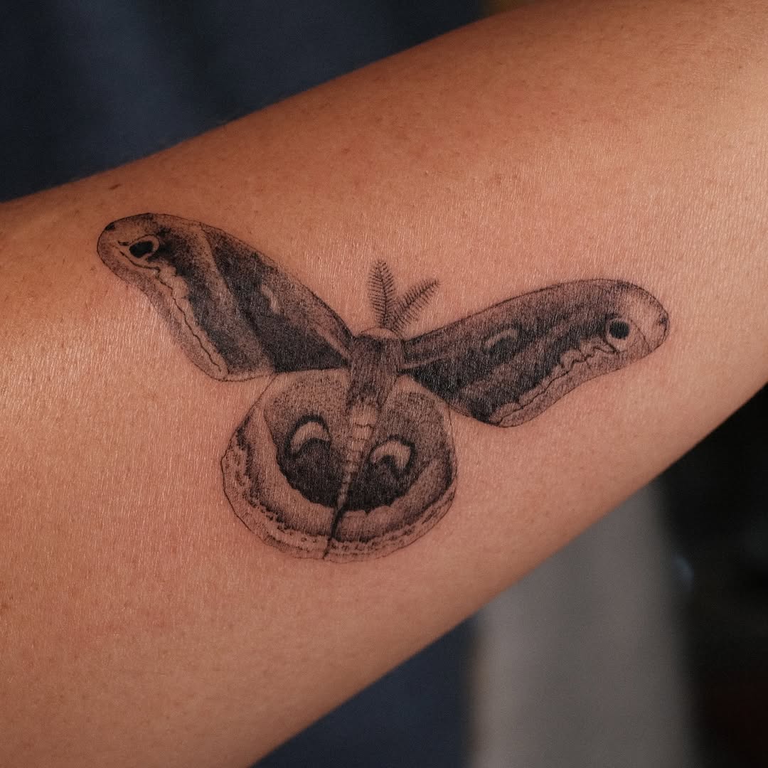Monochrome moth in fine-line shading with circular accents
