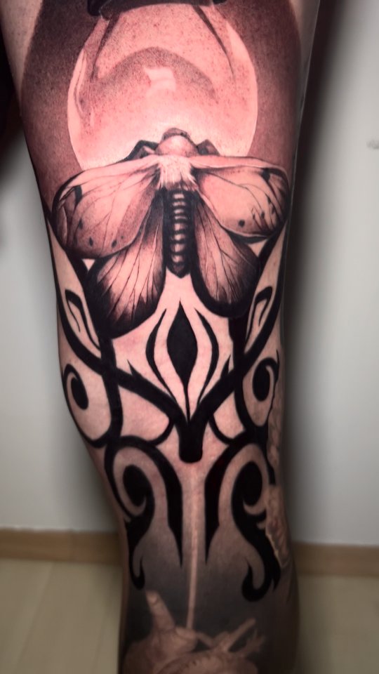 Bold black moth atop ornate tribal blackwork flourish