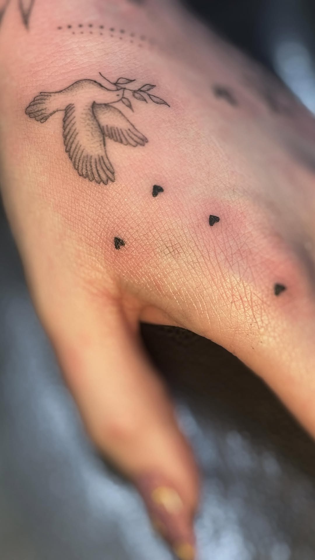 Delicate fine-line dove in flight with leaf sprig