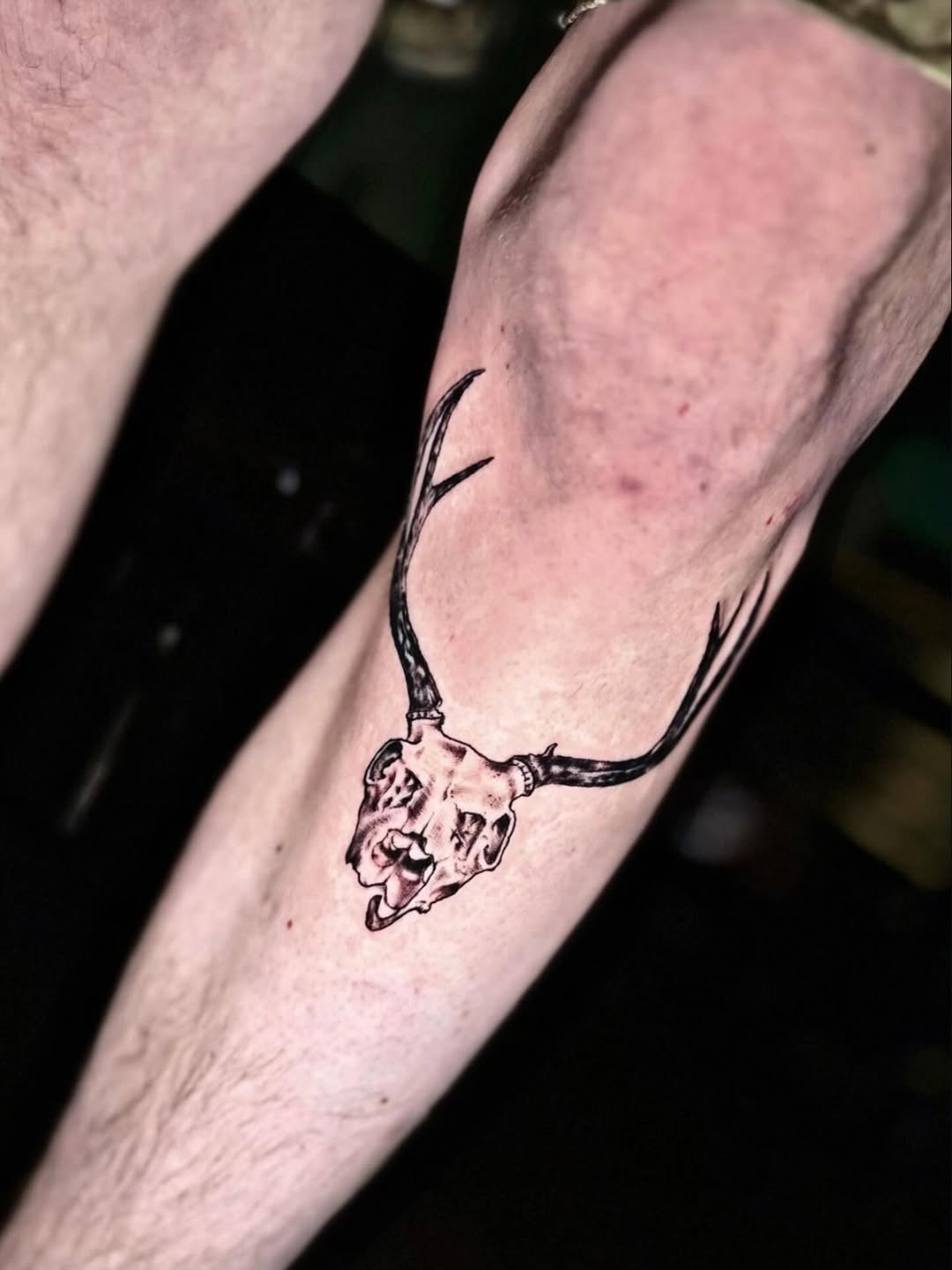 Bold deer skull pendant with sweeping antlers.