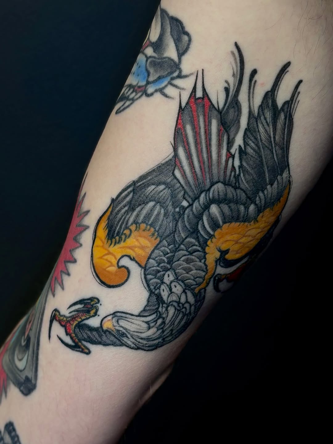 Bold black-gray phoenix with orange highlights and red accents