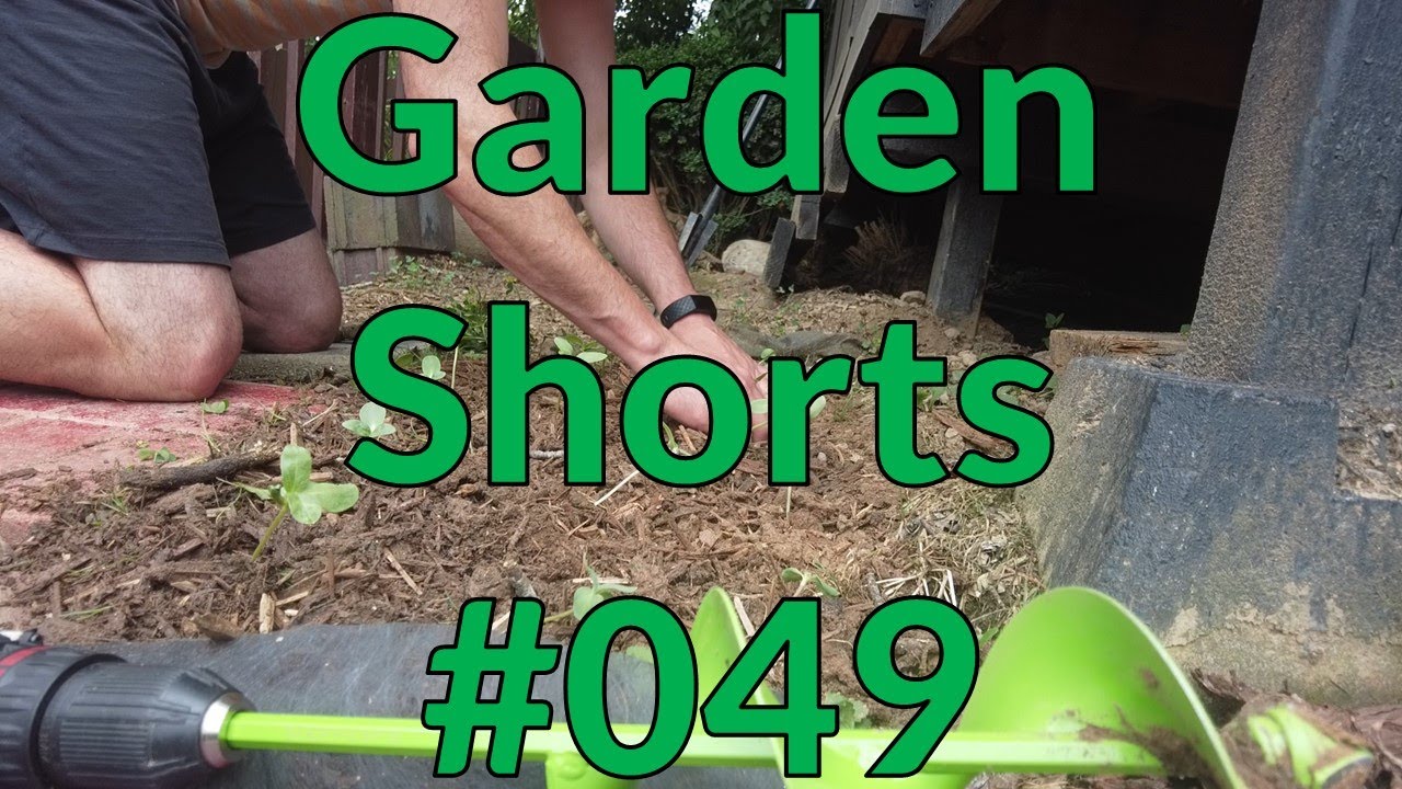 Garden Shorts 049