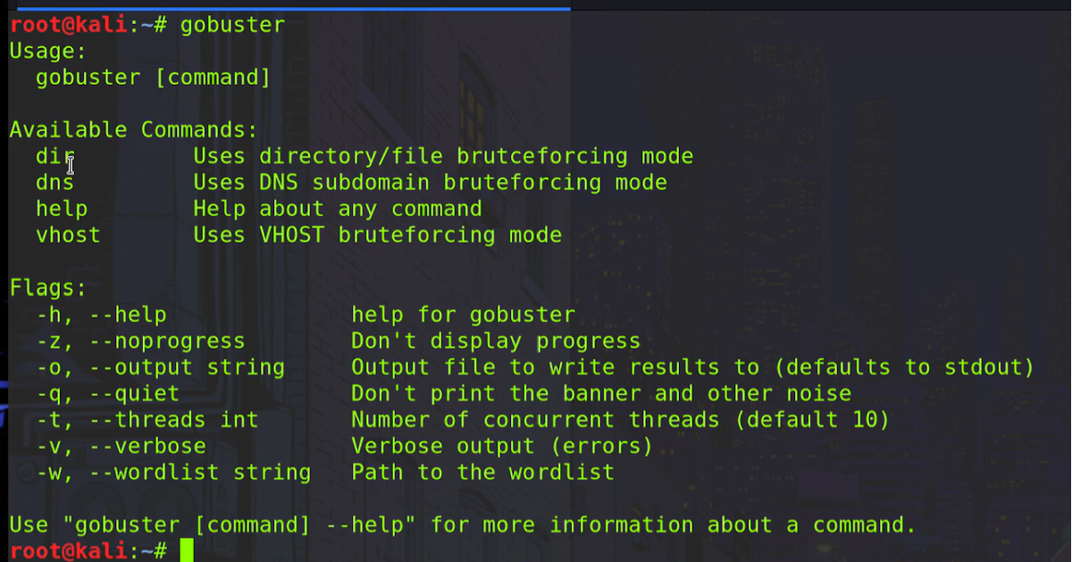 Directory Busting with GoBuster
