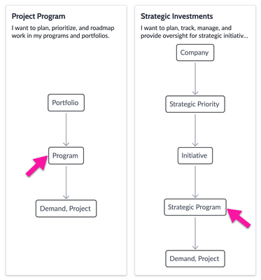 Strategic Program vs. Program