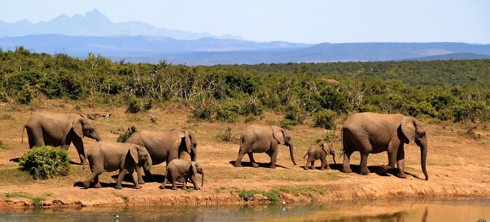 DevAdvanced: JavaScript Workaround for the OOP Concept of Overloading