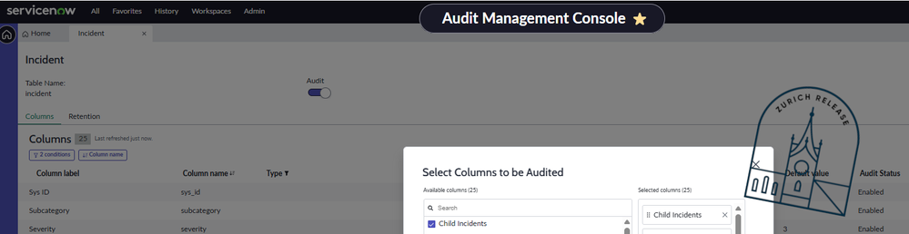 Audit Management Console