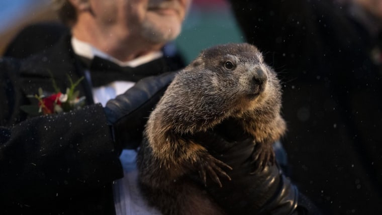 Actionable analytics–not groundhogs–lead to better customer service